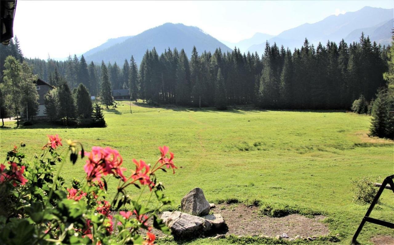 Vila Chata Zverovka Zuberec Exteriér fotografie